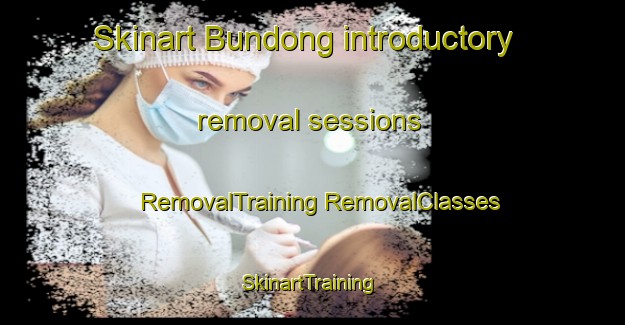 Skinart Bundong introductory removal sessions | #RemovalTraining #RemovalClasses #SkinartTraining-Korea