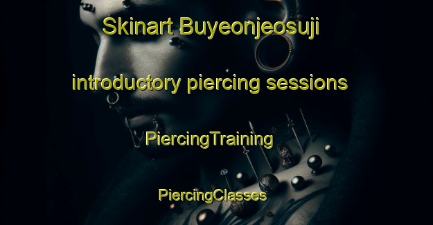 Skinart Buyeonjeosuji introductory piercing sessions | PiercingTraining | PiercingClasses | SkinartTraining-Korea