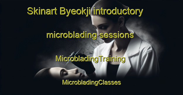 Skinart Byeokji introductory microblading sessions | #MicrobladingTraining #MicrobladingClasses #SkinartTraining-Korea