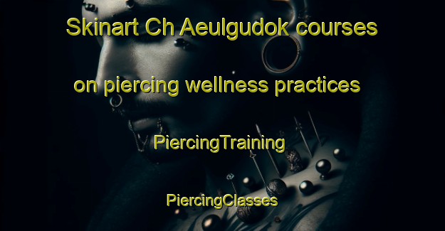 Skinart Ch Aeulgudok courses on piercing wellness practices | #PiercingTraining #PiercingClasses #SkinartTraining-Korea