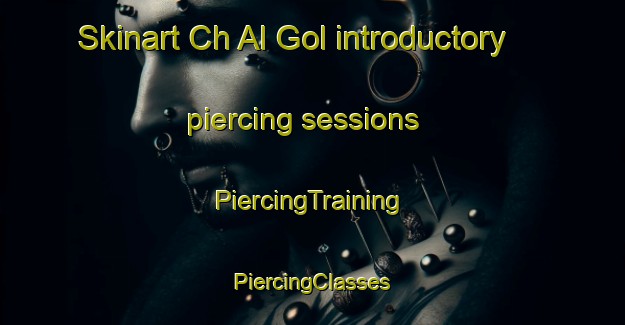 Skinart Ch Al Gol introductory piercing sessions | #PiercingTraining #PiercingClasses #SkinartTraining-Korea