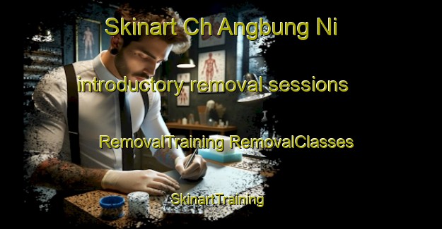 Skinart Ch Angbung Ni introductory removal sessions | #RemovalTraining #RemovalClasses #SkinartTraining-Korea