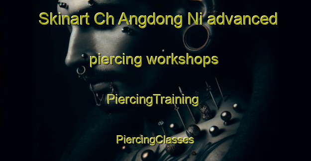 Skinart Ch Angdong Ni advanced piercing workshops | #PiercingTraining #PiercingClasses #SkinartTraining-Korea