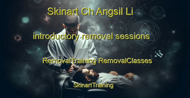 Skinart Ch Angsil Li introductory removal sessions | #RemovalTraining #RemovalClasses #SkinartTraining-Korea