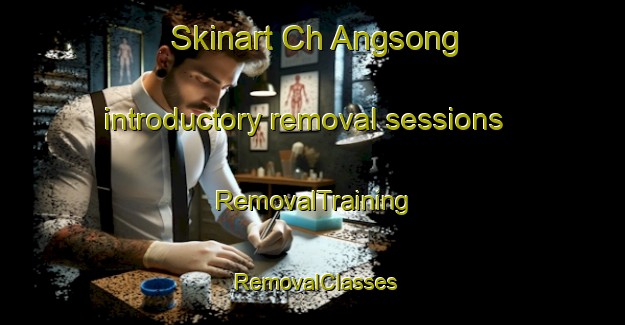Skinart Ch Angsong introductory removal sessions | RemovalTraining | RemovalClasses | SkinartTraining-Korea