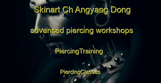 Skinart Ch Angyang Dong advanced piercing workshops | #PiercingTraining #PiercingClasses #SkinartTraining-Korea