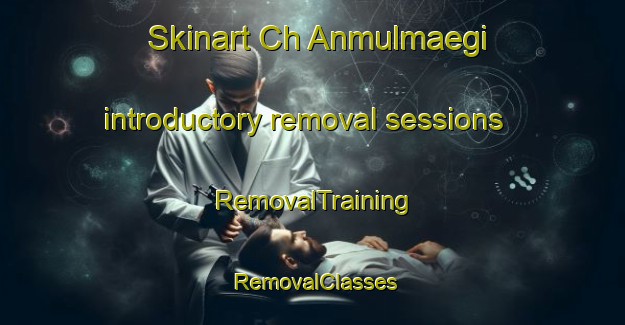 Skinart Ch Anmulmaegi introductory removal sessions | RemovalTraining | RemovalClasses | SkinartTraining-Korea