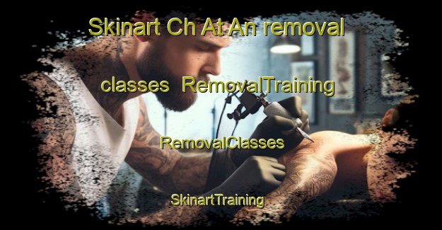 Skinart Ch At An removal classes | RemovalTraining | RemovalClasses | SkinartTraining-Korea