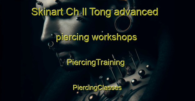 Skinart Ch Il Tong advanced piercing workshops | #PiercingTraining #PiercingClasses #SkinartTraining-Korea