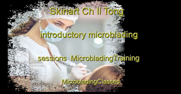 Skinart Ch Il Tong introductory microblading sessions | #MicrobladingTraining #MicrobladingClasses #SkinartTraining-Korea