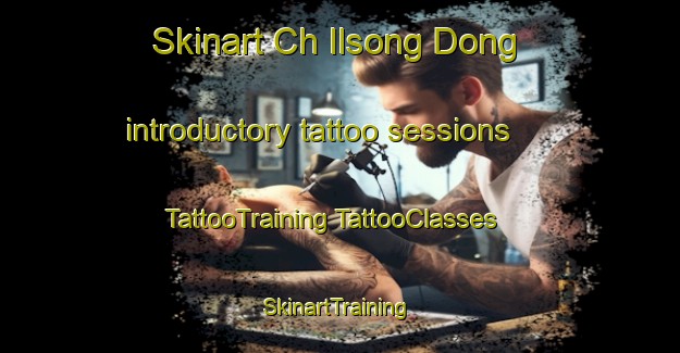 Skinart Ch Ilsong Dong introductory tattoo sessions | #TattooTraining #TattooClasses #SkinartTraining-Korea