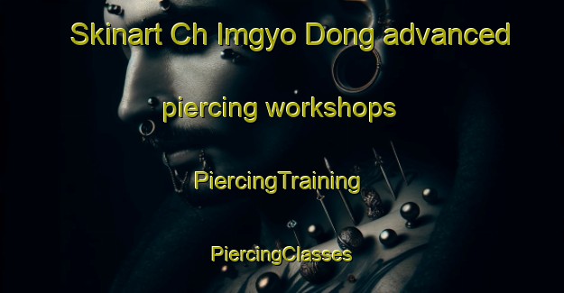 Skinart Ch Imgyo Dong advanced piercing workshops | #PiercingTraining #PiercingClasses #SkinartTraining-Korea