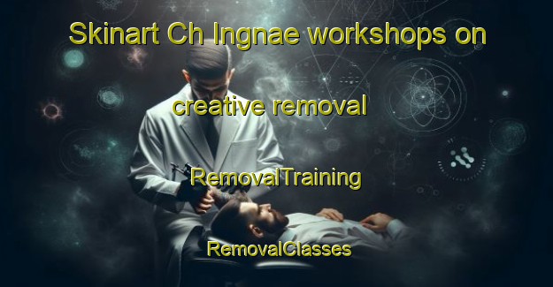 Skinart Ch Ingnae workshops on creative removal | RemovalTraining | RemovalClasses | SkinartTraining-Korea