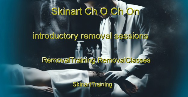 Skinart Ch O Ch On introductory removal sessions | #RemovalTraining #RemovalClasses #SkinartTraining-Korea