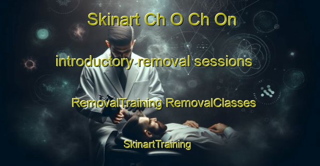 Skinart Ch O Ch On introductory removal sessions | #RemovalTraining #RemovalClasses #SkinartTraining-Korea