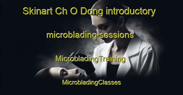 Skinart Ch O Dong introductory microblading sessions | #MicrobladingTraining #MicrobladingClasses #SkinartTraining-Korea