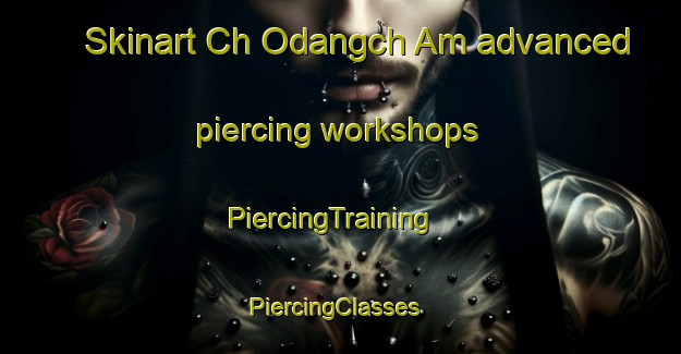 Skinart Ch Odangch Am advanced piercing workshops | PiercingTraining | PiercingClasses | SkinartTraining-Korea