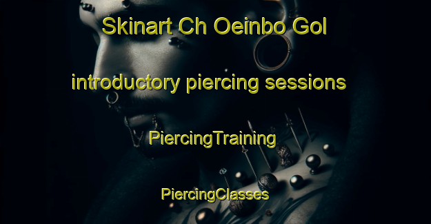 Skinart Ch Oeinbo Gol introductory piercing sessions | #PiercingTraining #PiercingClasses #SkinartTraining-Korea