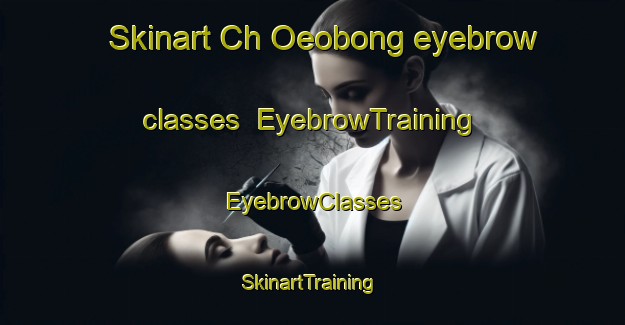 Skinart Ch Oeobong eyebrow classes | EyebrowTraining | EyebrowClasses | SkinartTraining-Korea