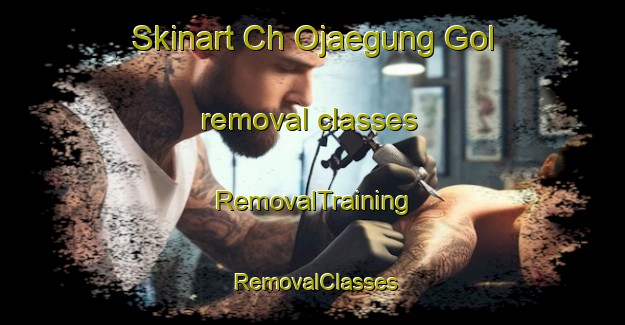 Skinart Ch Ojaegung Gol removal classes | RemovalTraining | RemovalClasses | SkinartTraining-Korea