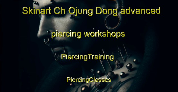 Skinart Ch Ojung Dong advanced piercing workshops | #PiercingTraining #PiercingClasses #SkinartTraining-Korea