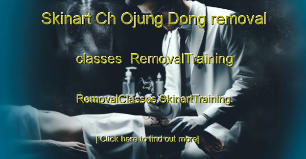 Skinart Ch Ojung Dong removal classes | #RemovalTraining #RemovalClasses #SkinartTraining-Korea