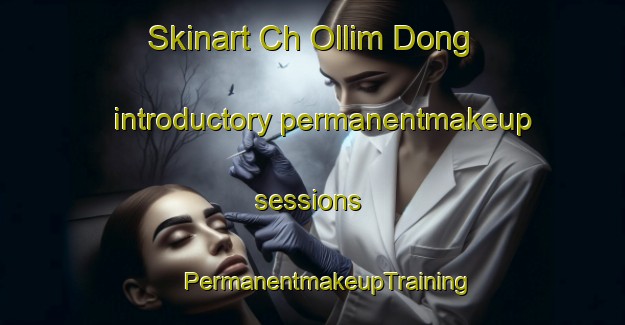 Skinart Ch Ollim Dong introductory permanentmakeup sessions | #PermanentmakeupTraining #PermanentmakeupClasses #SkinartTraining-Korea