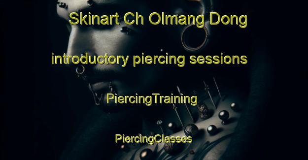 Skinart Ch Olmang Dong introductory piercing sessions | #PiercingTraining #PiercingClasses #SkinartTraining-Korea