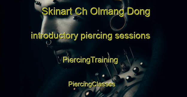 Skinart Ch Olmang Dong introductory piercing sessions | PiercingTraining | PiercingClasses | SkinartTraining-Korea