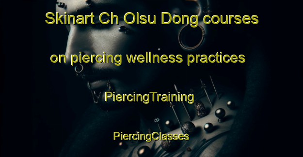 Skinart Ch Olsu Dong courses on piercing wellness practices | #PiercingTraining #PiercingClasses #SkinartTraining-Korea