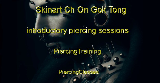 Skinart Ch On Gok Tong introductory piercing sessions | PiercingTraining | PiercingClasses | SkinartTraining-Korea