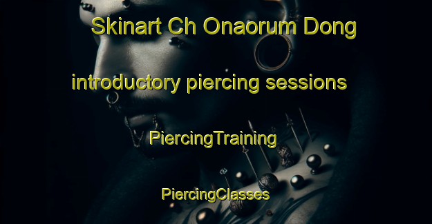 Skinart Ch Onaorum Dong introductory piercing sessions | #PiercingTraining #PiercingClasses #SkinartTraining-Korea