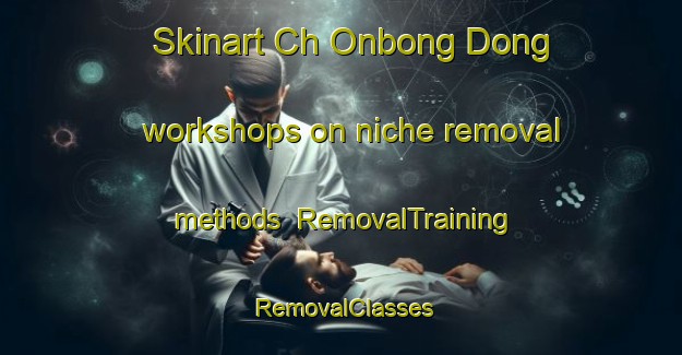 Skinart Ch Onbong Dong workshops on niche removal methods | RemovalTraining | RemovalClasses | SkinartTraining-Korea