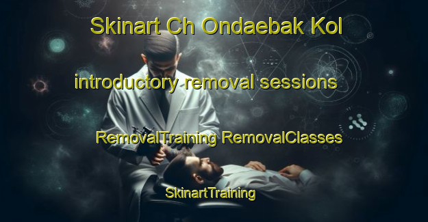 Skinart Ch Ondaebak Kol introductory removal sessions | #RemovalTraining #RemovalClasses #SkinartTraining-Korea