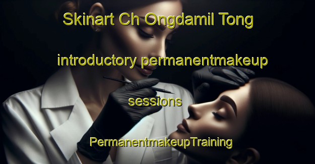 Skinart Ch Ongdamil Tong introductory permanentmakeup sessions | PermanentmakeupTraining | PermanentmakeupClasses | SkinartTraining-Korea