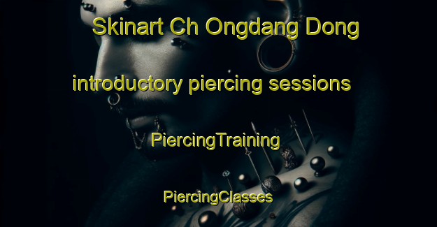 Skinart Ch Ongdang Dong introductory piercing sessions | #PiercingTraining #PiercingClasses #SkinartTraining-Korea