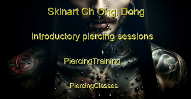 Skinart Ch Ongi Dong introductory piercing sessions | PiercingTraining | PiercingClasses | SkinartTraining-Korea