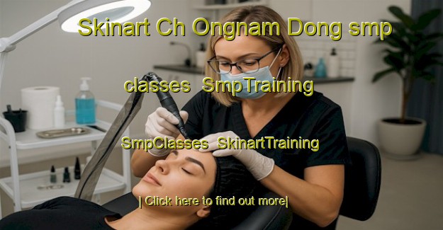 Skinart Ch Ongnam Dong smp classes | SmpTraining | SmpClasses | SkinartTraining-Korea