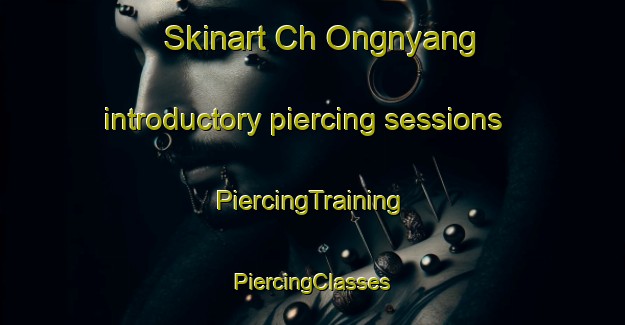 Skinart Ch Ongnyang introductory piercing sessions | #PiercingTraining #PiercingClasses #SkinartTraining-Korea