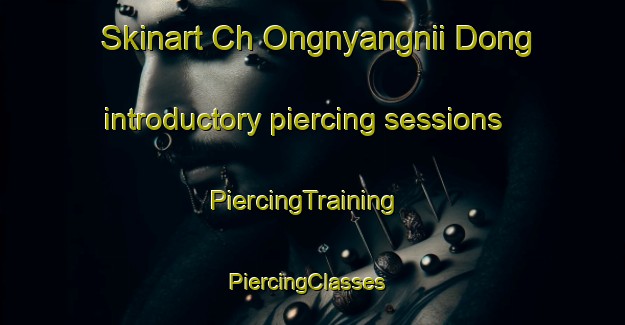 Skinart Ch Ongnyangnii Dong introductory piercing sessions | PiercingTraining | PiercingClasses | SkinartTraining-Korea