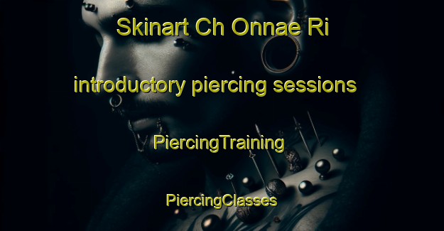 Skinart Ch Onnae Ri introductory piercing sessions | #PiercingTraining #PiercingClasses #SkinartTraining-Korea