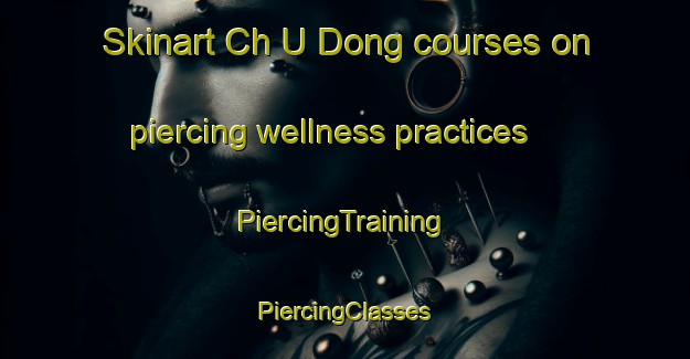 Skinart Ch U Dong courses on piercing wellness practices | #PiercingTraining #PiercingClasses #SkinartTraining-Korea