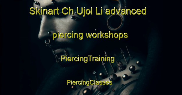 Skinart Ch Ujol Li advanced piercing workshops | PiercingTraining | PiercingClasses | SkinartTraining-Korea