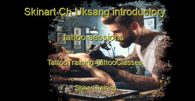 Skinart Ch Uksang introductory tattoo sessions | #TattooTraining #TattooClasses #SkinartTraining-Korea