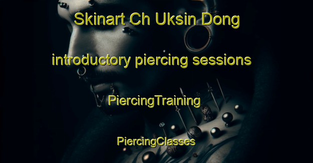 Skinart Ch Uksin Dong introductory piercing sessions | #PiercingTraining #PiercingClasses #SkinartTraining-Korea