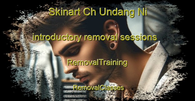 Skinart Ch Undang Ni introductory removal sessions | RemovalTraining | RemovalClasses | SkinartTraining-Korea