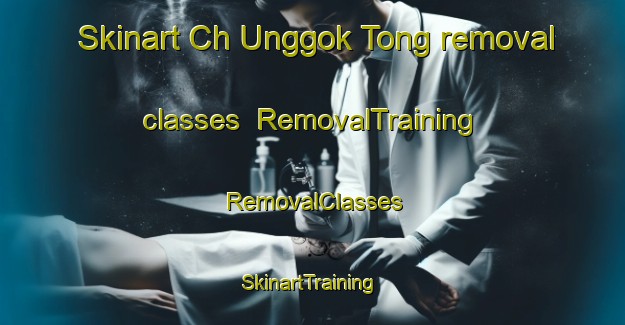 Skinart Ch Unggok Tong removal classes | RemovalTraining | RemovalClasses | SkinartTraining-Korea
