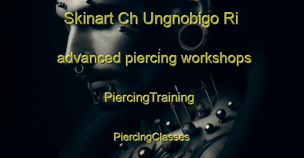 Skinart Ch Ungnobigo Ri advanced piercing workshops | #PiercingTraining #PiercingClasses #SkinartTraining-Korea