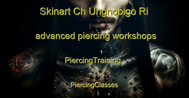 Skinart Ch Ungnobigo Ri advanced piercing workshops | #PiercingTraining #PiercingClasses #SkinartTraining-Korea