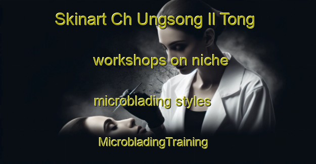 Skinart Ch Ungsong Il Tong workshops on niche microblading styles | MicrobladingTraining | MicrobladingClasses | SkinartTraining-Korea